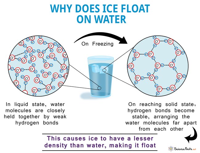 Why Ice Floats on Water Chemistry?