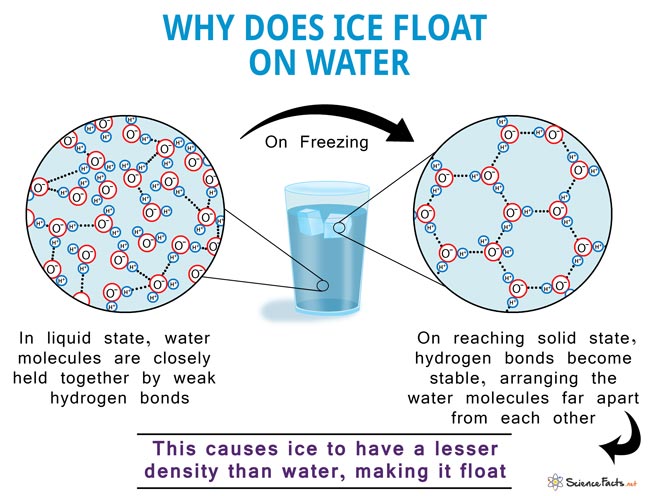 Why Does Ice Float On Water Science Facts