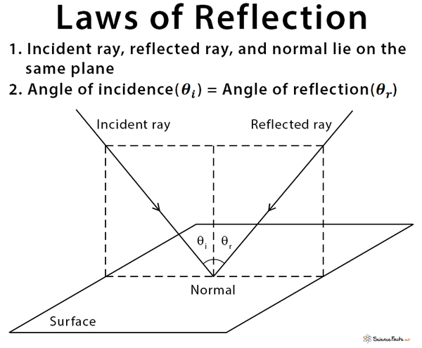 Reflection Definition Types Laws And Ray Diagrams