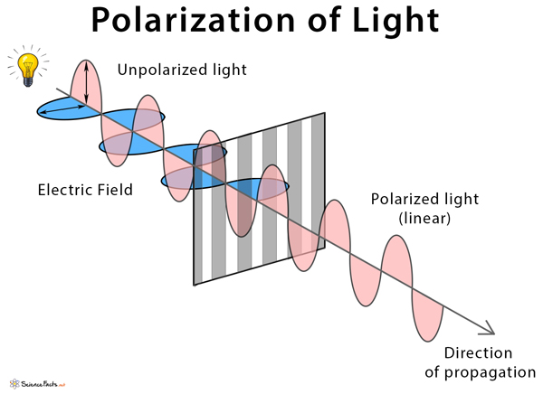 polarisation of light