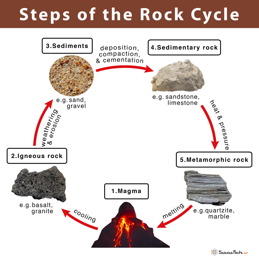 Draw The Diagram Of A Rock Cycle And Explain It - vrogue.co