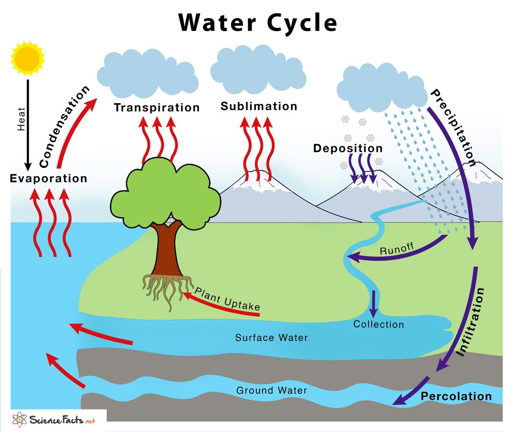 Water Cycle Picture for Classroom / Therapy Use - Great Water Cycle Clipart