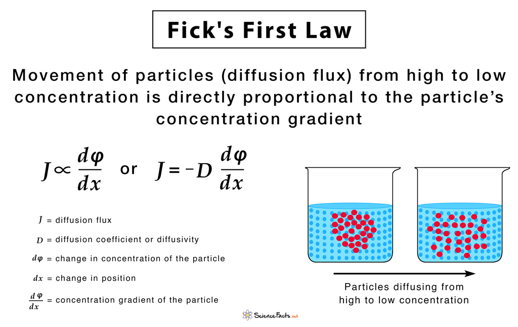 Fick’s Laws of Diffusion Formulas, Equations, & Examples