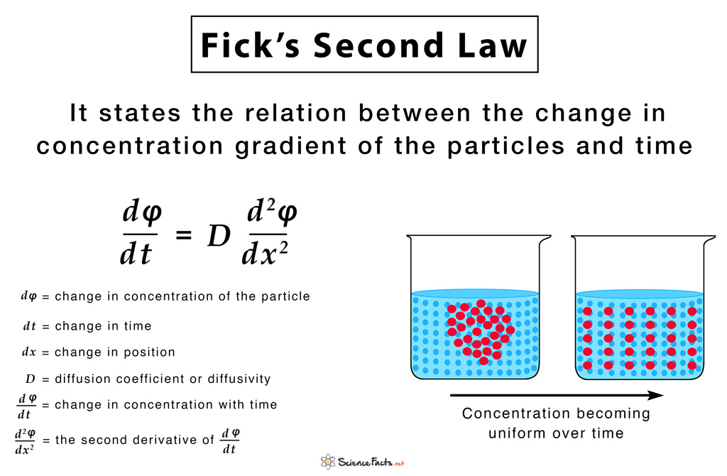 Fick’s Laws of Diffusion Formulas, Equations, & Examples