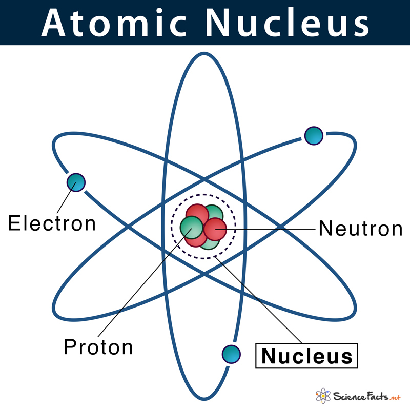 Nucleus