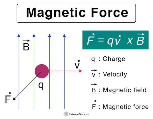 junk myndighed At interagere Magnetic Force: Definition, Equation, and Examples