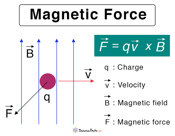 Pioner Bitterhed bronze Magnetic Force: Definition, Equation, and Examples