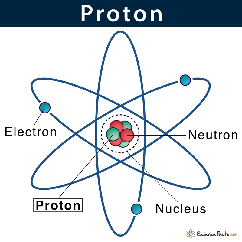  Proton  Definition Characteristics Location with Example