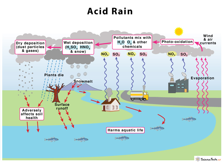 Process of conversion of greenhouse gas into acid rain (Adapted from... |  Download Scientific Diagram