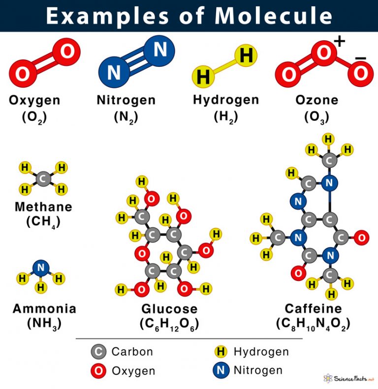 representations definition in science