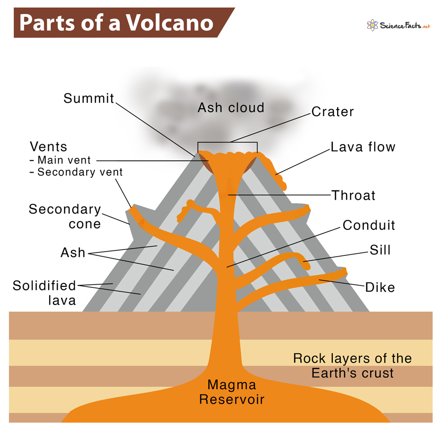 primary homework volcano parts