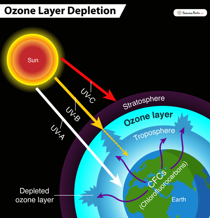 Health and Environmental Effects of Ozone Layer Depletion | US EPA