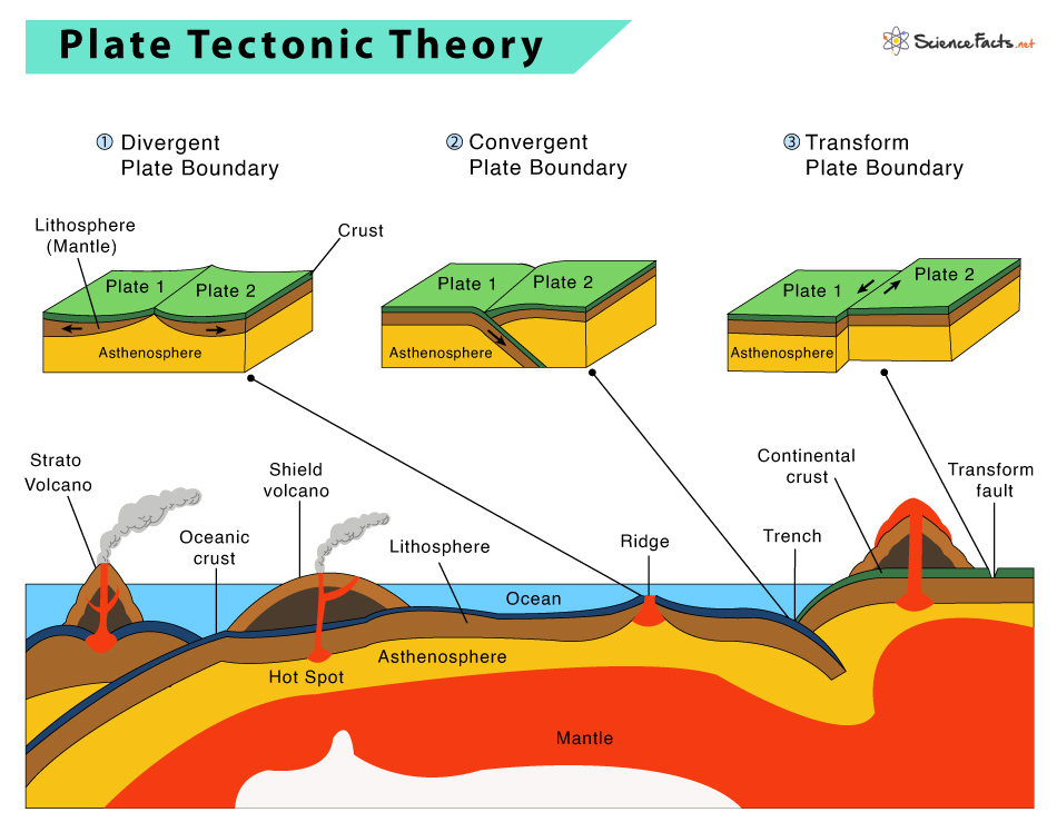 theory of plate tectonics assignment quizlet