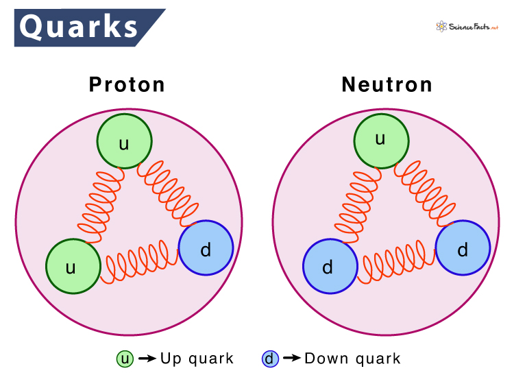 Quark - Definition, Meaning, & Flavors