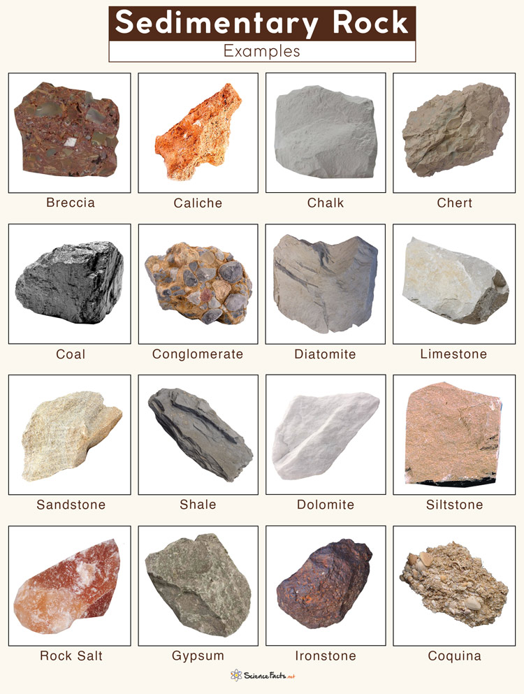Names Of Sedimentary Rocks