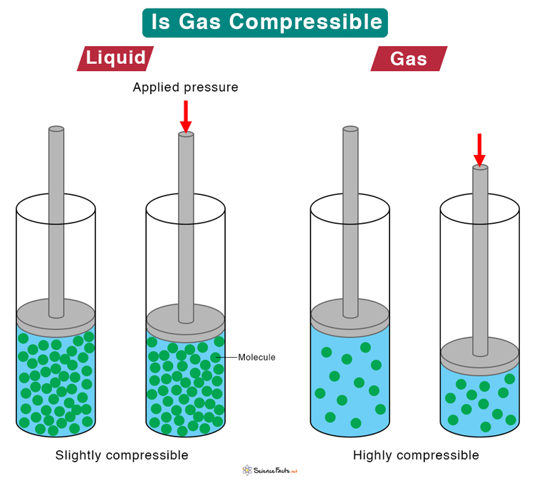 gasses or gases