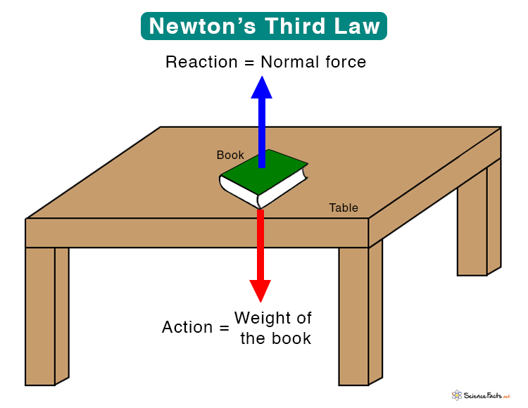 Newton's Laws: Action and Reaction