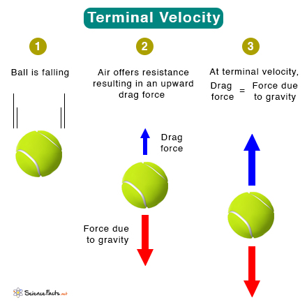 TERMINAL definition and meaning