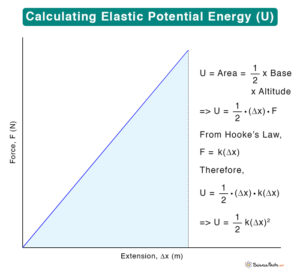Elastic Potential Energy: Definition, Examples, and Formula