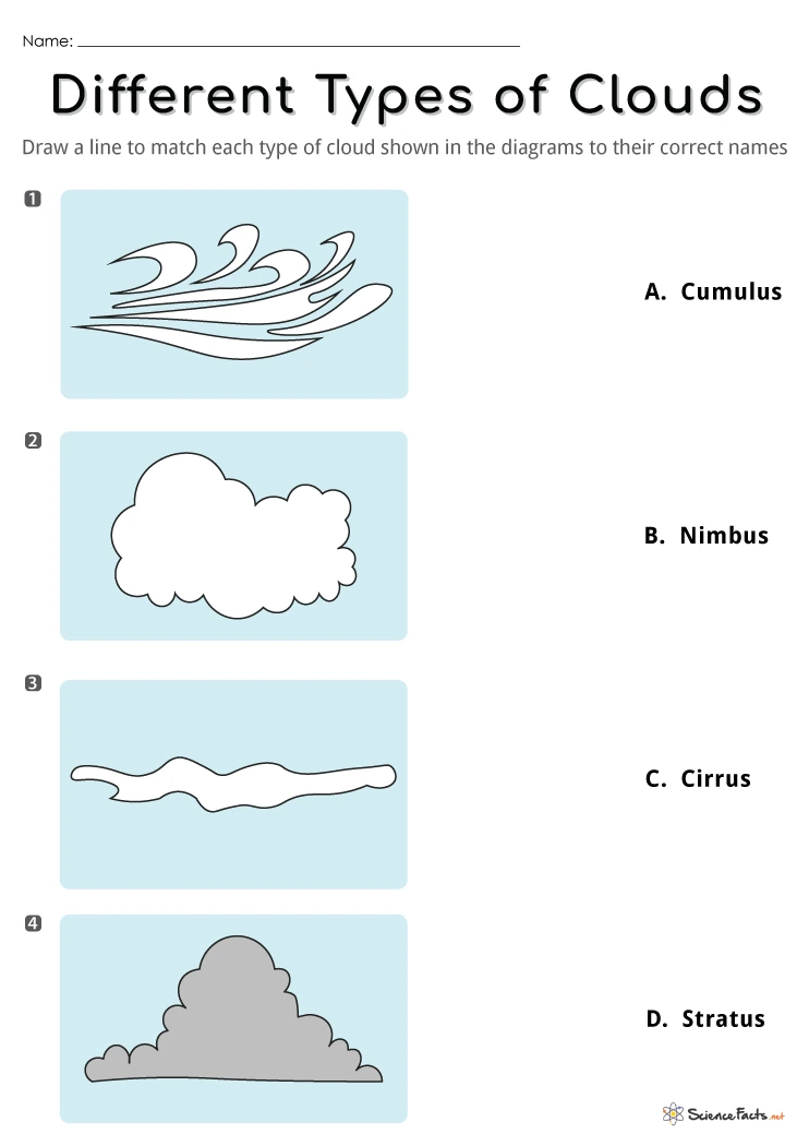 Types Of Clouds Worksheet Escolagersonalvesgui - vrogue.co