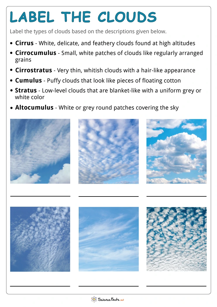 Types Of Clouds Worksheet