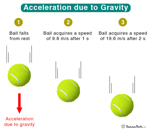 Acceleration due to Gravity: Definition, Formula, & Value