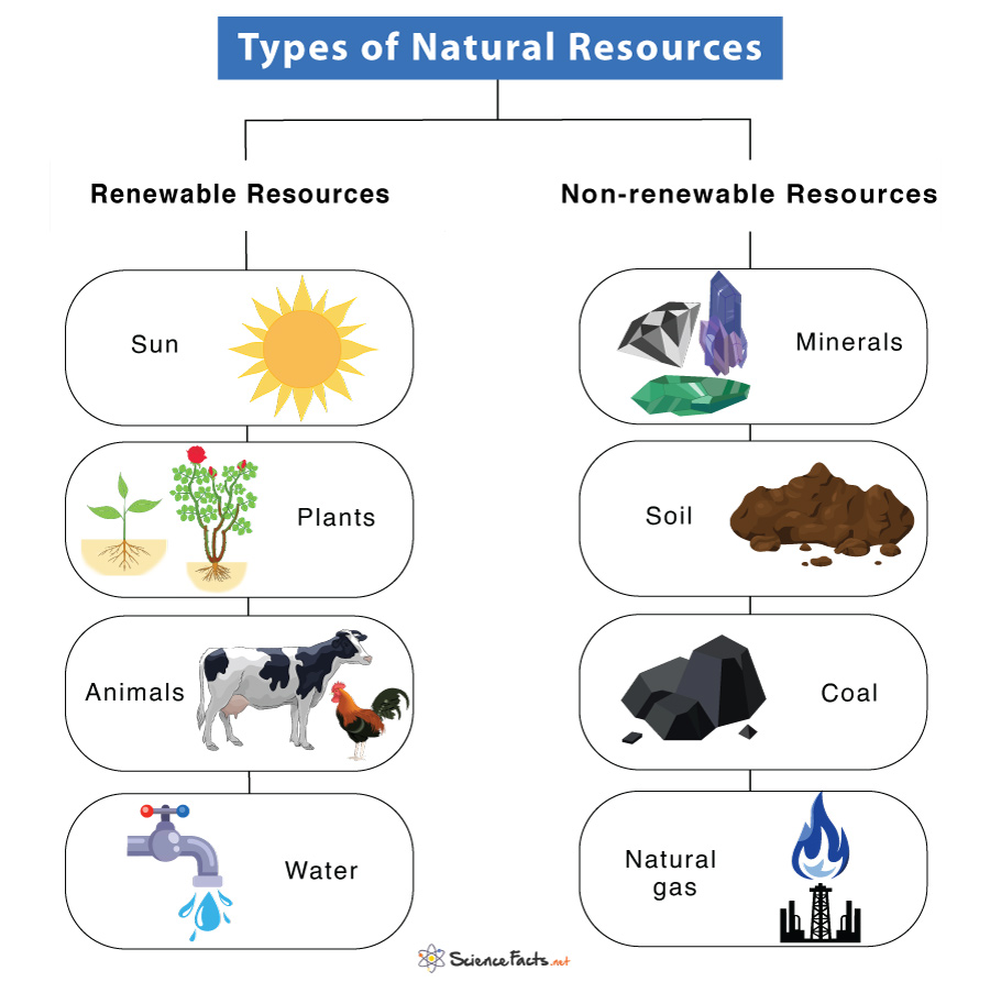 graphical representation of natural resources