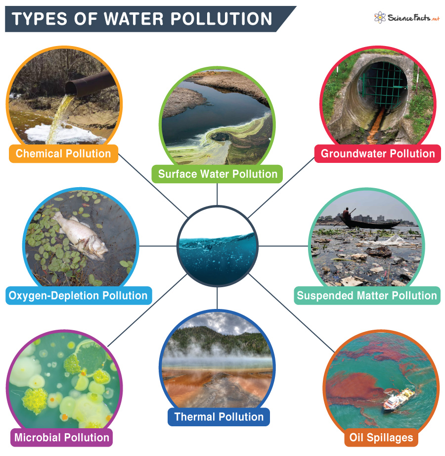 What are the 7 major types of water pollutants?