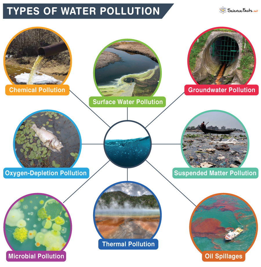 water pollution effects on animals and plants