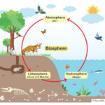 summarize the rock cycle