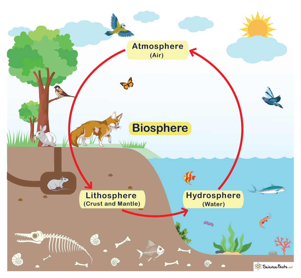 Biosphere – Definition, Examples, and Diagram