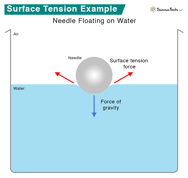Surface Tension: Definition, Examples, and Unit