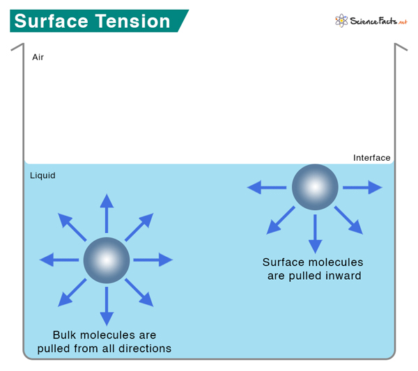 surface tension of water molecules