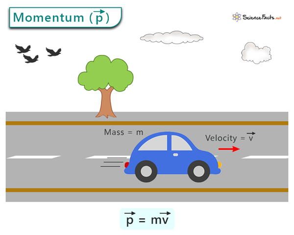 Momentum