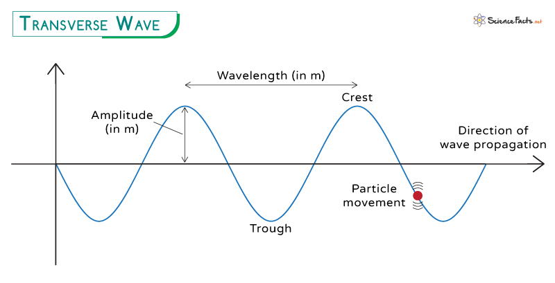 Transverse Wave Definition Characteristics And Examples Transverse Wave Definition Characteristics And Examples